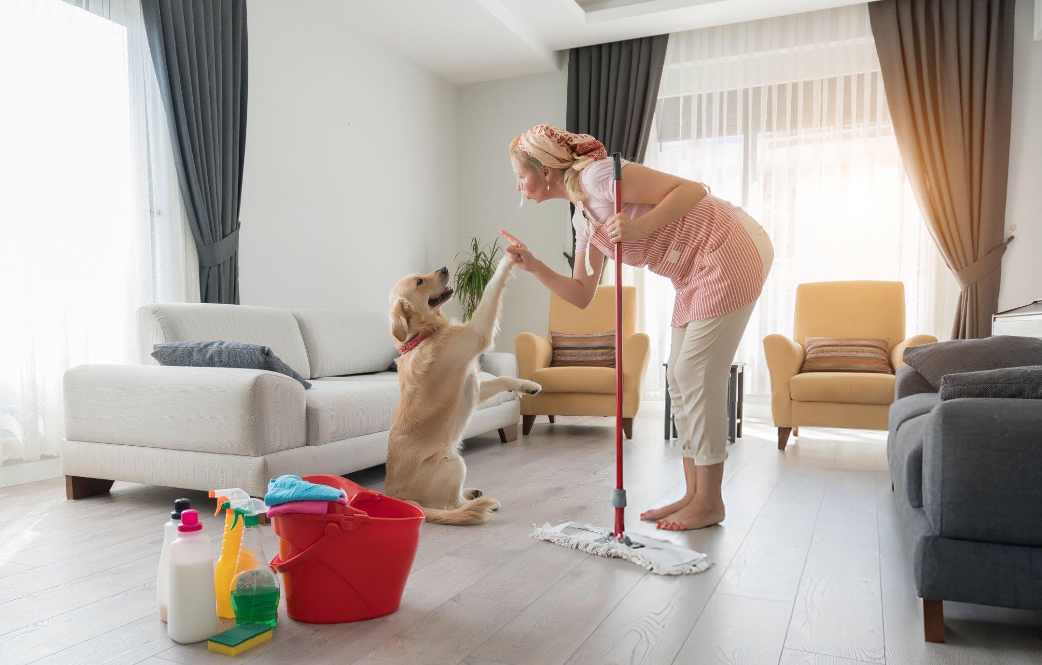 How to keep a clean house with a dog