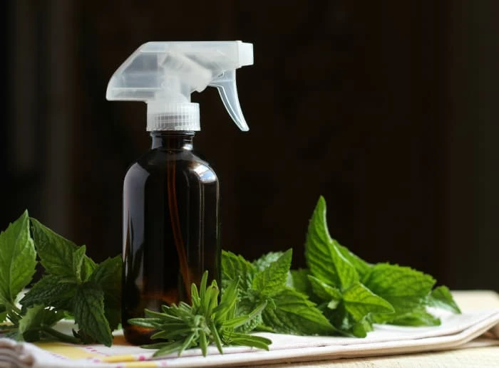 Homemade Air Freshener Recipe: Natural, Easy & Long-Lasting DIY Ideas