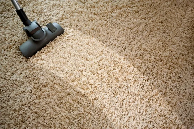 Homemade Carpet Cleaner Recipe: 3 Easy DIY Solutions for Stains, Pets & Fresh Floors