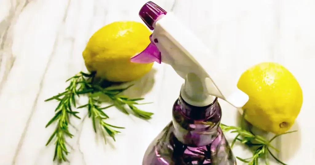 homemade bug spray with essential oils