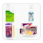Best carpet cleaner solution products for stains and odors