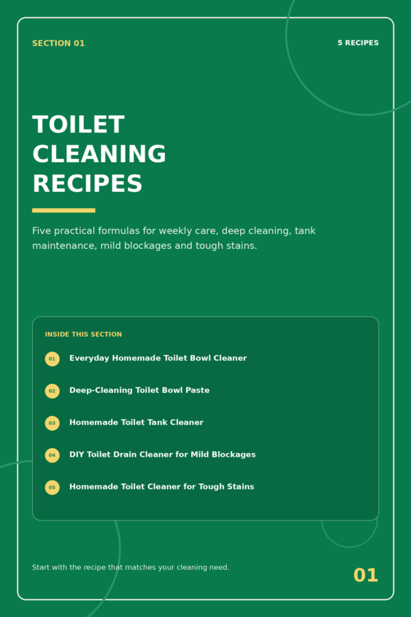 100 DIY Cleaning Recipes